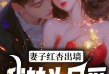 妻子红杏出墙，我转头另爱（石昊水婉婷）完结版免费阅读-蓝天文学