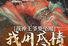 苏婉清陆少卿小说免费阅读最新章节列表,战神王爷要坠魔,我用感情拯救他小说在线看-蓝天文学