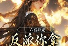 六宫独宠,反派你拿什么和我斗免费阅读,谢淑华大结局无弹窗-蓝天文学