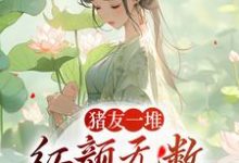 求助这本猪友一堆，红颜无数，这叫年少有为小说在哪里可以看完结版-蓝天文学