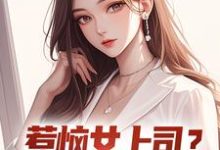 主人公是张文定的小说惹恼女上司？我有妙计摆平免费阅读-蓝天文学