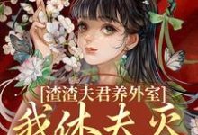 渣渣夫君养外室，我休夫灭妾另高嫁热门小说(叶宛卿萧时衍)在线阅读无弹窗-蓝天文学