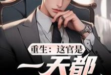 重生:这官是一天都不想当了(梁惟石唐欣怡)最新章节免费在线阅读-蓝天文学