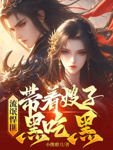 流氓悍匪：带着嫂子黑吃黑在线看，齐海小说大结局在哪免费看