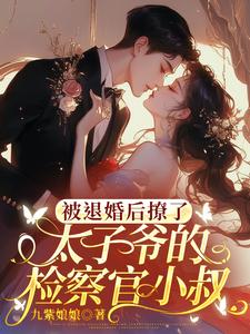 被退婚后撩了太子爷的检察官小叔（陆砚昇乔曦）最新章节在线阅读