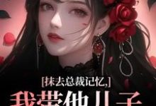 小说抹去总裁记忆，我带他儿子回苗寨主角裴景澈梨尤笙免费阅读-蓝天文学