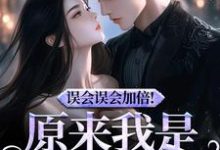 误会误会加倍！原来我是他的挚爱（宁穗季晏辞）完结版免费阅读-蓝天文学