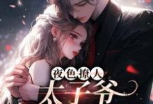 夜色撩人，太子爷为她乱了心楚璃徐砚周最新完结小说，夜色撩人，太子爷为她乱了心全本免费在线阅读-蓝天文学