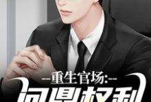 (全文)重生官场：问鼎权利之巅林峰刘艳茹完结小说推荐重生官场：问鼎权利之巅试读更新章节-蓝天文学