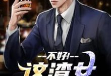 (全文)不好!这渣女要虐死了顾迟云云晚晚最新完结小说不好!这渣女要虐死了免费阅读-蓝天文学