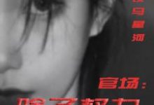 (全文)官场：除了权力还有啥（丁俊丰贺征）免费小说官场：除了权力还有啥试读更新章节-蓝天文学