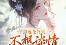 黑莲花驾到,不想谈情只想晋升宁司寒林妩试读更新章节黑莲花驾到,不想谈情只想晋升宁司寒林妩免费小说-蓝天文学