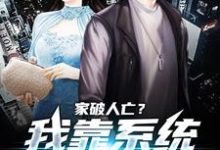 家破人亡？我靠系统儿孙满堂柳若澜许良完结小说推荐，家破人亡？我靠系统儿孙满堂全章小说阅读-蓝天文学