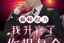 巅峰权力：我升官了你想复合完整版小说，巅峰权力：我升官了你想复合林磊试读更新章节-蓝天文学
