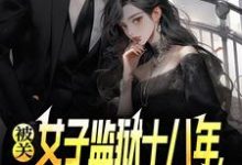 被关女子监狱十八年，出狱即无敌推荐完结小说被关女子监狱十八年，出狱即无敌(林枫)免费小说全本-蓝天文学