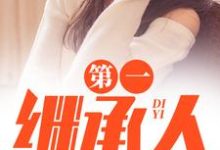 第一继承人完整版小说第一继承人(徐飞)全章小说阅读-蓝天文学