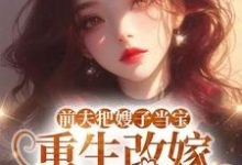 前夫把嫂子当宝，重生改嫁不原谅夏晚晴免费小说前夫把嫂子当宝，重生改嫁不原谅推荐完结小说-蓝天文学