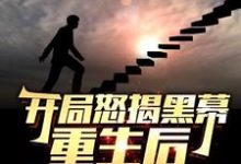 (全文)开局怒揭黑幕，重生后整顿官场陈知行最新完结小说开局怒揭黑幕，重生后整顿官场免费阅读-蓝天文学