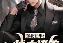 (全文)东北往事：一代大佬的成功之路（王晨马三）免费小说东北往事：一代大佬的成功之路试读更新章节-蓝天文学