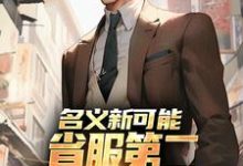 名义新可能：省服第二能否逆转大局完整版小说，名义新可能：省服第二能否逆转大局萧承李妙灵试读更新章节-蓝天文学