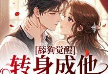 舔狗觉醒，转身成他高攀不起最新完结小说舔狗觉醒，转身成他高攀不起舒念沈晏宸免费小说-蓝天文学