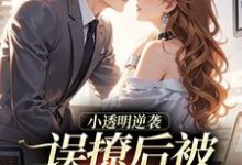 (全文)误撩后被大佬宠上天(许惟昭方肃礼)全本免费在线阅读-蓝天文学