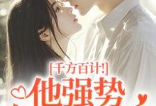 千方百计！他强势夺我闪婚（南昭沙赫）全章小说阅读-蓝天文学