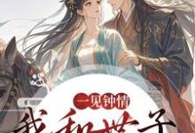 一见钟情，我和世子天生一对（沈如风苏云锦）全本书籍阅读一见钟情，我和世子天生一对完整版小说-蓝天文学