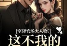 空降官场大人物？这不我的裙下臣吗（顾杳周政良）全章小说阅读-蓝天文学