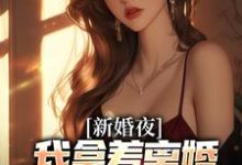 新婚夜，我拿着离婚协议黯然离场（叶修远白若雪）小说推荐新婚夜，我拿着离婚协议黯然离场全章小说阅读-蓝天文学