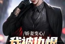 (全文)娇妻变心,我被仇恨占据了全身完结小说推荐路无铭墨凉馨全本书籍阅读-蓝天文学