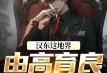 汉东这地界，由高育良说了算（祁同伟高育良）全本书籍阅读汉东这地界，由高育良说了算完整版小说-蓝天文学