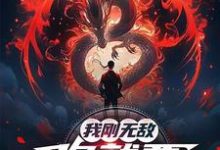 我刚无敌，你就要跟我退婚？推荐完结小说，我刚无敌，你就要跟我退婚？苏阳免费小说全本-蓝天文学