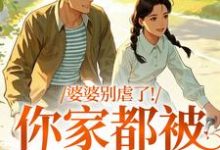 婆婆别虐了！你家都被偷光了（苏圆圆）全章小说阅读-蓝天文学