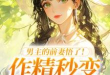 男主的前妻悟了！作精秒变粘人精（许岁宁霍青山）全章小说阅读-蓝天文学