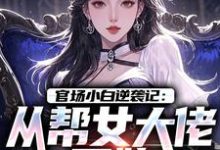 官场小白逆袭记：从帮女大佬开始唐诚李文静免费小说官场小白逆袭记：从帮女大佬开始推荐完结小说-蓝天文学