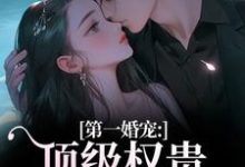 (全文)第一婚宠：顶级权贵追妻火葬场热门小说排行榜，第一婚宠：顶级权贵追妻火葬场叶惊兰薄戎淮全章小说阅读-蓝天文学
