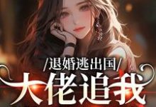 (全文)退婚逃出国,大佬追我满世界跑(江野崎楚灵兮)全本书籍阅读退婚逃出国,大佬追我满世界跑免费小说全本-蓝天文学