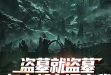 盗墓就盗墓，怎么都在调查我完整版小说盗墓就盗墓，怎么都在调查我(吴邪白小白)全章小说阅读-蓝天文学