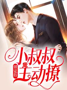 初霜盛庭领证后，小叔叔主动撩全本免费在线阅读