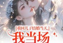 刘琴刘勇重回儿子结婚当天，我当场搅黄婚事全本免费在线阅读-蓝天文学