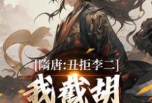 隋唐：丑拒李二，我截胡众枭雄热门小说排行榜隋唐：丑拒李二，我截胡众枭雄李渊吴缺免费小说全本-蓝天文学