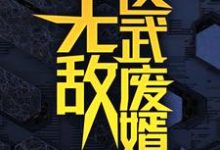 无敌医武废婿秦铭热门小说排行榜无敌医武废婿免费小说-蓝天文学