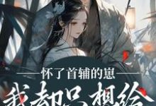 怀了首辅的崽，我却只想给娃找后爹裴砚声崔令宜完结小说推荐，怀了首辅的崽，我却只想给娃找后爹全章小说阅读-蓝天文学
