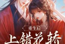 (全文)重生后，上错花轿嫁对纨绔（谢北洺沈云舒）全本书籍阅读重生后，上错花轿嫁对纨绔免费小说全本-蓝天文学