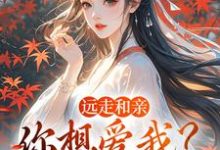 (全文)远走和亲，你想爱我？晚了(姜兰阮宜年)全本免费在线阅读-蓝天文学