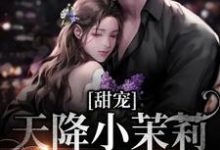 甜宠：天降小茉莉住进了我家沈津南林听热门小说排行榜甜宠：天降小茉莉住进了我家免费小说-蓝天文学