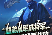 替弟从军成将军，归来问我要战功（叶临渊）全本书籍阅读替弟从军成将军，归来问我要战功完整版小说-蓝天文学