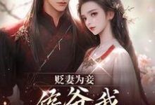 慎如余启贬妻为妾,侯爷我不伺候啦全本免费在线阅读-蓝天文学