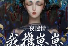 一夜迷情,我携崽崽俘获他云素予段凌霁完结小说推荐一夜迷情,我携崽崽俘获他全本书籍阅读-蓝天文学